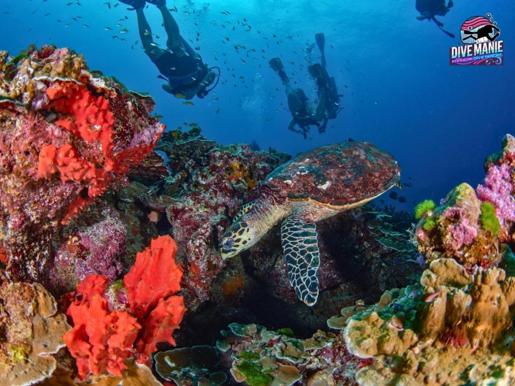 Khaolak Dive Resort เขาหลัก ภายนอก รูปภาพ