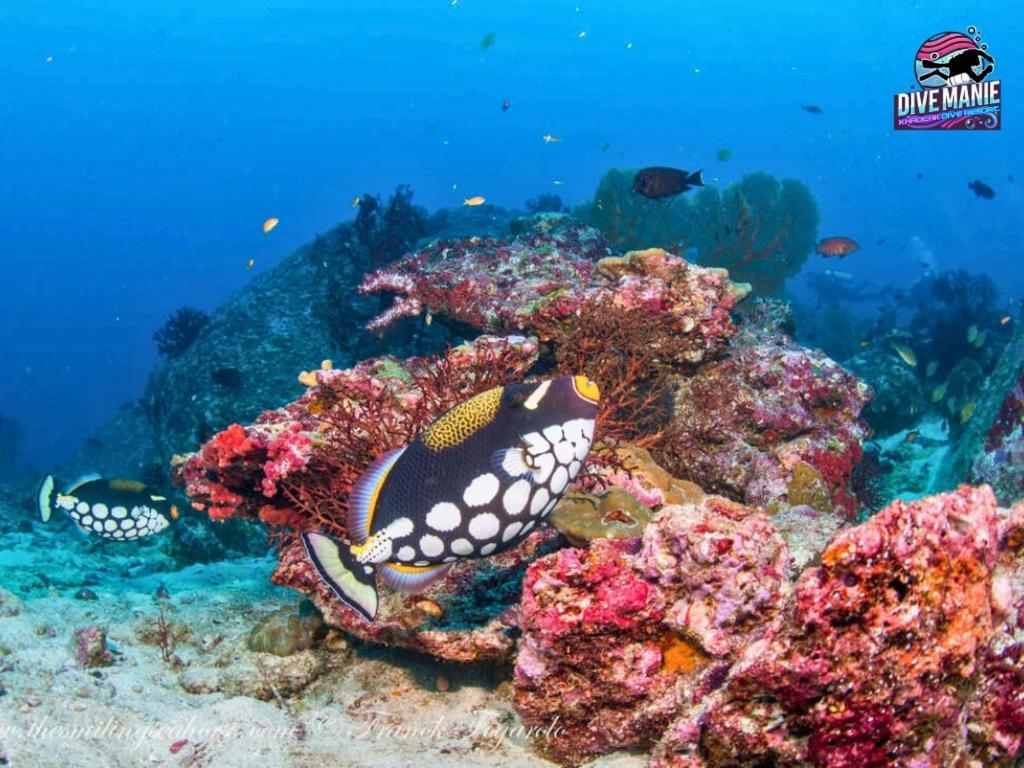 Khaolak Dive Resort เขาหลัก ภายนอก รูปภาพ