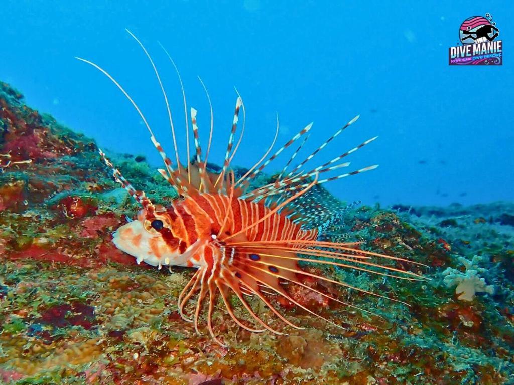 Khaolak Dive Resort เขาหลัก ภายนอก รูปภาพ