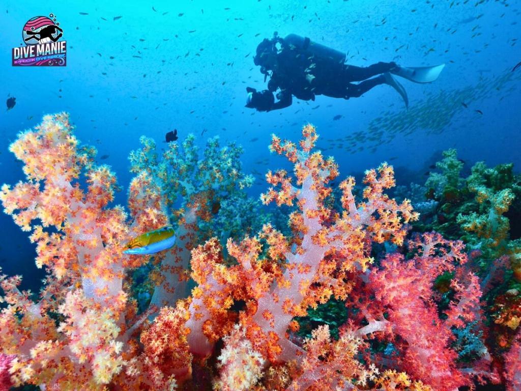Khaolak Dive Resort เขาหลัก ภายนอก รูปภาพ