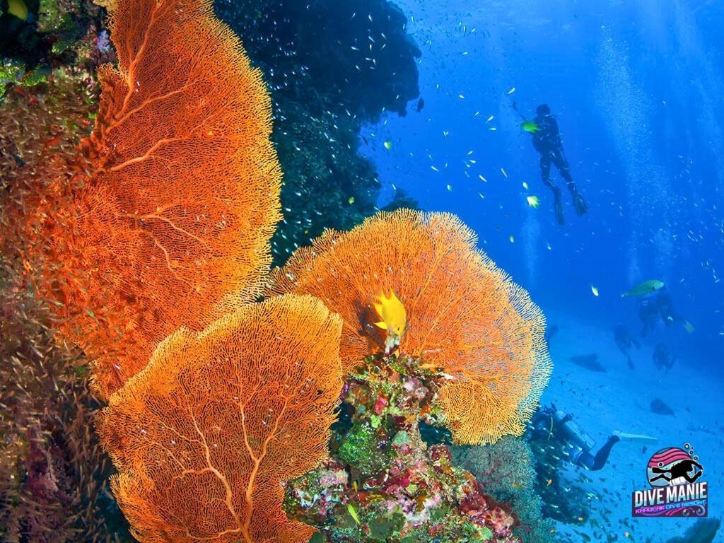 Khaolak Dive Resort เขาหลัก ภายนอก รูปภาพ