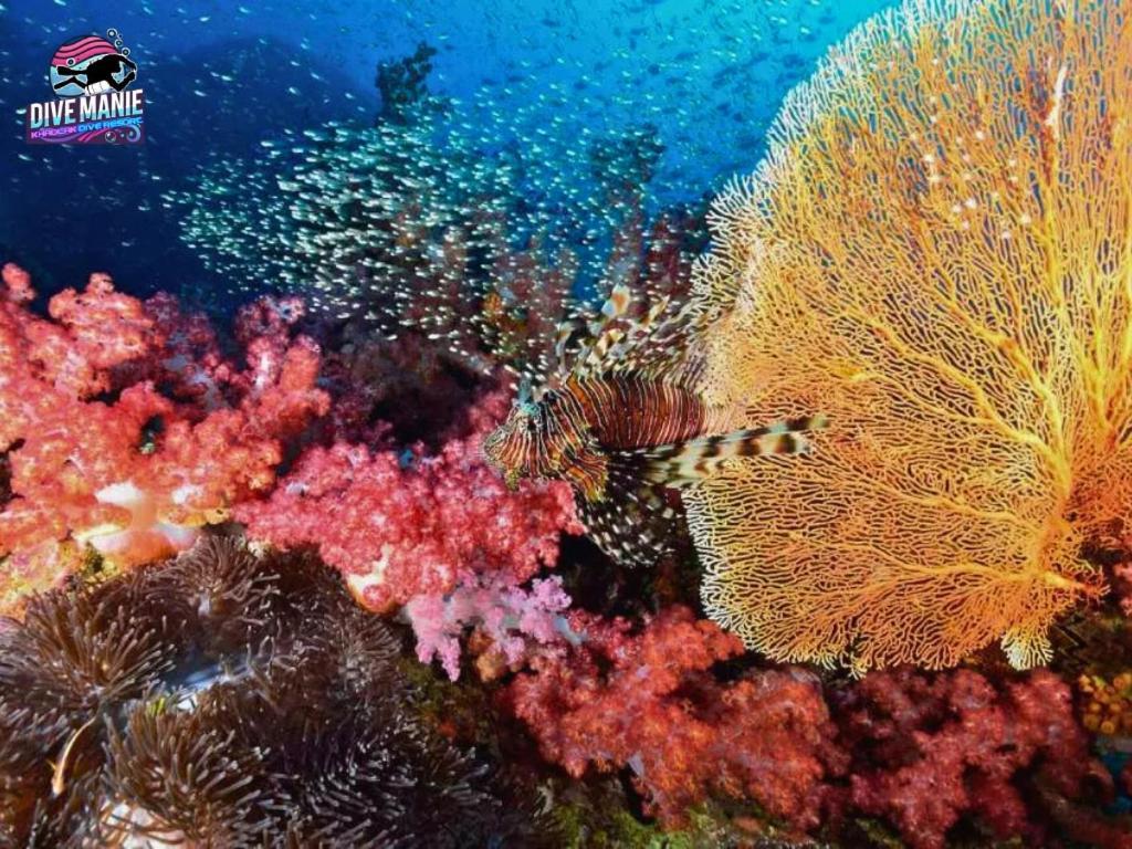 Khaolak Dive Resort เขาหลัก ภายนอก รูปภาพ